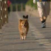 ヒメ日記 2025/10/16 17:07 投稿 内田　さえ 東京ローズマリー