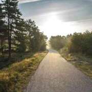 ヒメ日記 2025/10/28 21:27 投稿 内田　さえ 東京ローズマリー