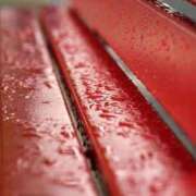 ヒメ日記 2025/11/01 23:57 投稿 内田　さえ 東京ローズマリー