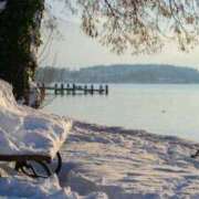 ヒメ日記 2025/11/14 13:47 投稿 内田　さえ 東京ローズマリー