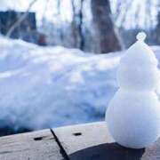 ヒメ日記 2025/12/09 00:07 投稿 内田　さえ 東京ローズマリー