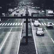 ヒメ日記 2025/12/27 23:07 投稿 内田　さえ 東京ローズマリー