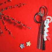 ヒメ日記 2025/12/30 23:07 投稿 内田　さえ 東京ローズマリー