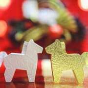 ヒメ日記 2025/12/31 22:37 投稿 内田　さえ 東京ローズマリー