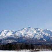 ヒメ日記 2026/01/20 19:37 投稿 内田　さえ 東京ローズマリー