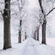 ヒメ日記 2026/01/22 23:47 投稿 内田　さえ 東京ローズマリー