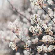 ヒメ日記 2026/02/21 23:47 投稿 内田　さえ 東京ローズマリー