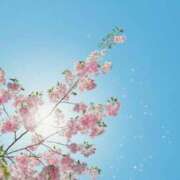 ヒメ日記 2026/02/27 20:47 投稿 内田　さえ 東京ローズマリー