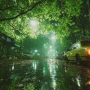 ヒメ日記 2026/03/03 23:27 投稿 内田　さえ 東京ローズマリー