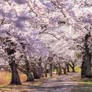 ヒメ日記 2026/03/18 18:27 投稿 内田　さえ 東京ローズマリー