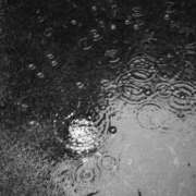 ヒメ日記 2026/03/25 23:47 投稿 内田　さえ 東京ローズマリー