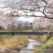 ヒメ日記 2026/03/29 23:47 投稿 内田　さえ 東京ローズマリー