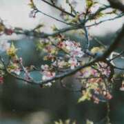 ヒメ日記 2026/04/07 17:27 投稿 内田　さえ 東京ローズマリー