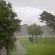 ヒメ日記 2026/04/10 16:27 投稿 内田　さえ 東京ローズマリー