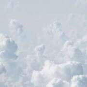 ヒメ日記 2026/04/17 17:37 投稿 内田　さえ 東京ローズマリー