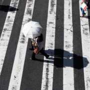 ヒメ日記 2026/06/02 10:47 投稿 内田　さえ 東京ローズマリー