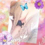 ヒメ日記 2025/04/30 09:41 投稿 美和 ラブハート