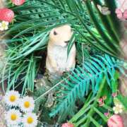 ヒメ日記 2025/03/03 21:08 投稿 りかこ 熟女の風俗最終章 高崎店