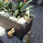 ヒメ日記 2025/11/03 13:18 投稿 りかこ 熟女の風俗最終章 高崎店