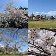 ヒメ日記 2025/04/07 13:01 投稿 凛 ラブハート