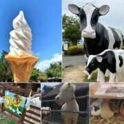 ヒメ日記 2025/04/17 10:51 投稿 凛 ラブハート