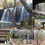 ヒメ日記 2025/04/17 11:41 投稿 凛 ラブハート