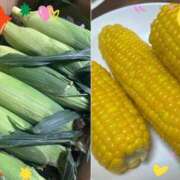 ヒメ日記 2025/07/05 16:41 投稿 凛 ラブハート