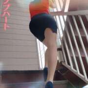 ヒメ日記 2025/07/09 06:31 投稿 凛 ラブハート