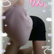 ヒメ日記 2025/07/14 15:21 投稿 凛 ラブハート