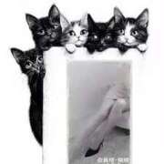 ヒメ日記 2025/09/12 09:51 投稿 凛 ラブハート