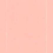 ヒメ日記 2025/11/20 09:01 投稿 凛 ラブハート