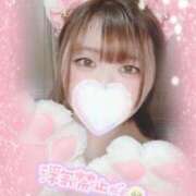 ヒメ日記 2025/04/26 20:08 投稿 シログチ　白口 女の子市場