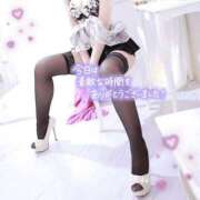 ヒメ日記 2025/03/19 14:34 投稿 いぶき チューリップ姫路店