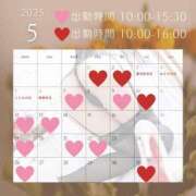 ヒメ日記 2025/04/18 07:05 投稿 いぶき チューリップ姫路店