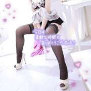 ヒメ日記 2025/05/10 16:52 投稿 いぶき チューリップ姫路店