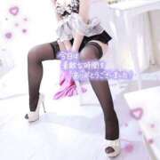 ヒメ日記 2025/06/06 15:55 投稿 いぶき チューリップ姫路店