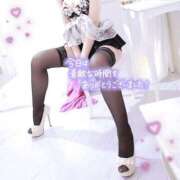 ヒメ日記 2025/08/15 17:20 投稿 いぶき チューリップ姫路店