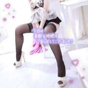 ヒメ日記 2025/10/27 13:00 投稿 いぶき チューリップ姫路店