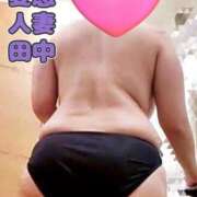 ヒメ日記 2025/12/12 09:55 投稿 田中 即プレイ専門店 変態人妻サークル 古川店