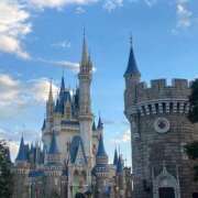 ヒメ日記 2025/11/27 13:33 投稿 りお 川越ぷよステーション