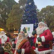 美織亜子 ちょい復活 五十路マダムエクスプレス船橋店(カサブランカグループ)