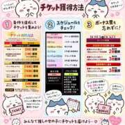 ヒメ日記 2026/09/08 20:10 投稿 りり アロー