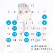 ヒメ日記 2026/10/19 18:23 投稿 りり アロー