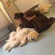 ヒメ日記 2025/12/15 19:11 投稿 香川　かりん OLセレクション宇都宮店