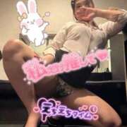 ヒメ日記 2026/04/23 08:04 投稿 香川　かりん OLセレクション宇都宮店