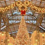 ヒメ日記 2024/12/30 15:25 投稿 夏鈴/かりん ANEJE～アネージュ池袋～(ユメオト)