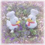 ヒメ日記 2025/07/27 13:06 投稿 夏鈴/かりん ANEJE～アネージュ池袋～(ユメオト)