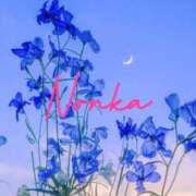 ヒメ日記 2025/11/15 22:50 投稿 のんか THE ESUTE 五反田店