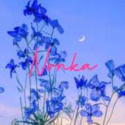 ヒメ日記 2026/02/01 15:26 投稿 のんか THE ESUTE 五反田店