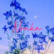 ヒメ日記 2025/11/15 22:37 投稿 のんか THE ESUTE 渋谷